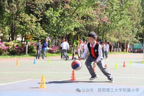 篮球协调训练的有效工具和设备推荐_0